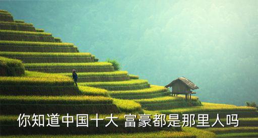 你知道中國十大 富豪都是那里人嗎