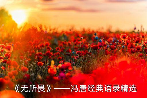 《無所畏》——馮唐經典語錄精選