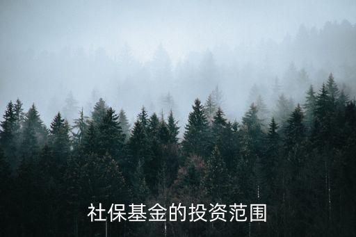 全國社會保險(xiǎn)基金收支相抵之后結(jié)余