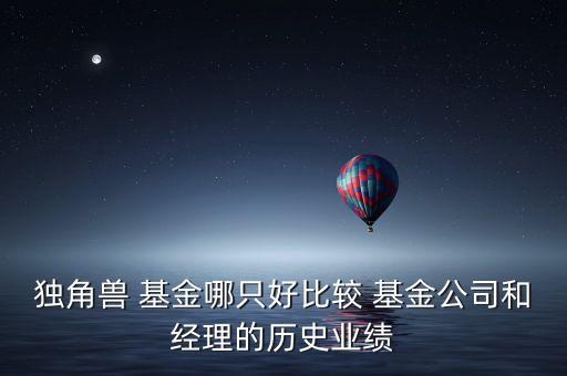 獨角獸 基金哪只好比較 基金公司和經理的歷史業(yè)績