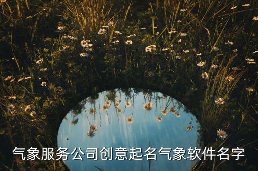 氣象服務公司創(chuàng)意起名氣象軟件名字