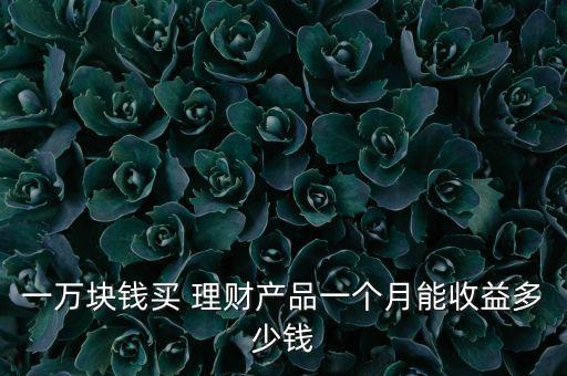 一萬塊錢買 理財產(chǎn)品一個月能收益多少錢