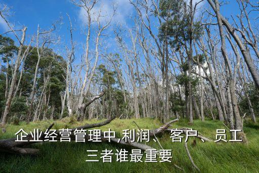 企業(yè)經營管理中,利潤、 客戶、員工三者誰最重要