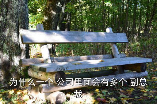 公司沒(méi)有必要設(shè)置副總