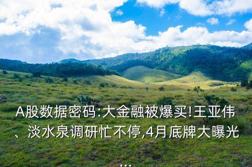 A股數(shù)據(jù)密碼:大金融被爆買(mǎi)!王亞偉、淡水泉調(diào)研忙不停,4月底牌大曝光...