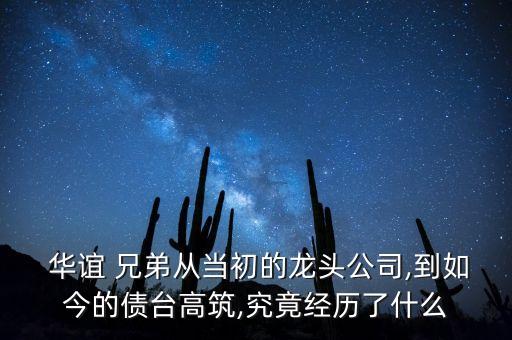  華誼 兄弟從當(dāng)初的龍頭公司,到如今的債臺高筑,究竟經(jīng)歷了什么