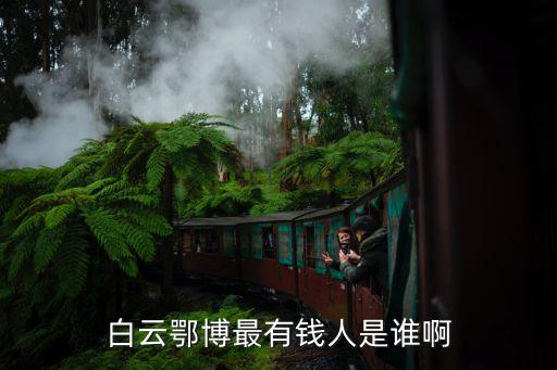 白云鄂博最有錢人是誰(shuí)啊