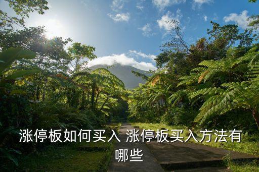 連續(xù)漲停板的股票怎么買,連續(xù)10個(gè)漲停板的股票