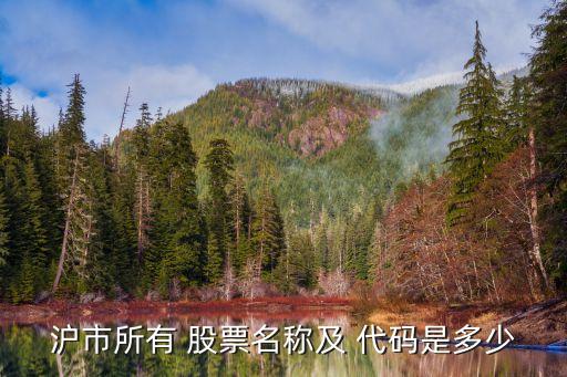 滬市所有 股票名稱(chēng)及 代碼是多少