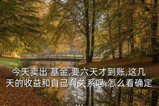 今天基金怎么了,萬(wàn)家基金最近怎么了