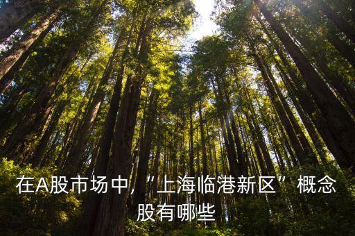 2013港口類上市公司,美國(guó)最大的港口上市公司