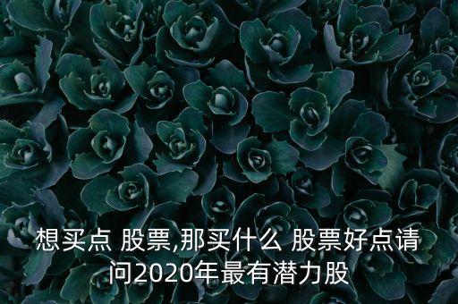 想買點(diǎn) 股票,那買什么 股票好點(diǎn)請問2020年最有潛力股