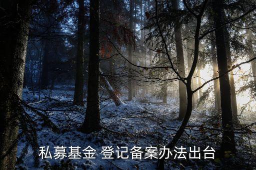 暫停民間投資理財公司核名登記