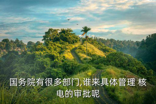 國務院有很多部門,誰來具體管理 核電的審批呢