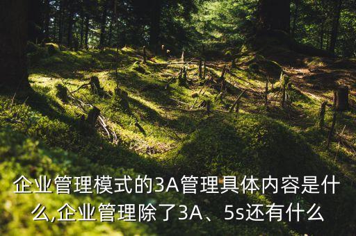 企業(yè)管理模式的3A管理具體內(nèi)容是什么,企業(yè)管理除了3A、5s還有什么