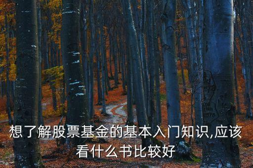 想了解股票基金的基本入門知識,應該看什么書比較好