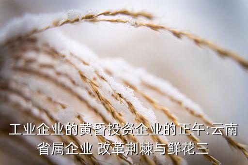 中鋁集團混合所有制改革,聯(lián)通集團進行混合所有制改革的意義
