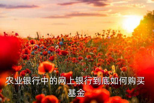 農(nóng)業(yè)銀行中的網(wǎng)上銀行到底如何購(gòu)買 基金