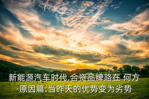 中國純電動(dòng)汽車產(chǎn)業(yè)路在何方
