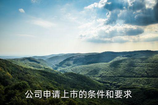 發(fā)行股票申請書,發(fā)行申請書什么時(shí)候提交
