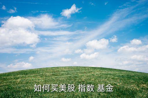 如何買(mǎi)美股 指數(shù) 基金