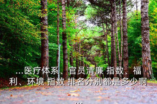 ...醫(yī)療體系、官員清廉 指數(shù)、福利、環(huán)境 指數(shù) 排名分別都是多少啊...