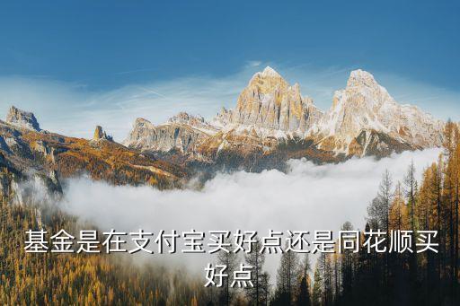  基金是在支付寶買好點(diǎn)還是同花順買好點(diǎn)
