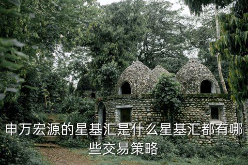 申萬(wàn)宏源的星基匯是什么星基匯都有哪些交易策略