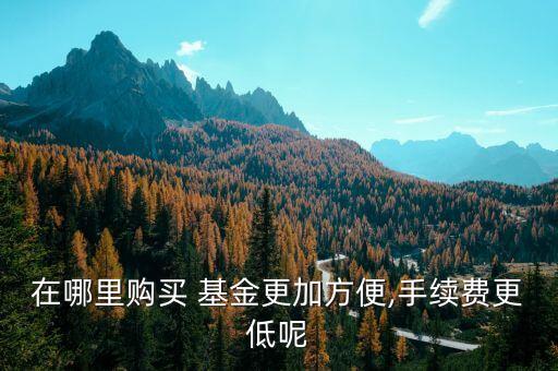 在哪里購買 基金更加方便,手續(xù)費(fèi)更低呢
