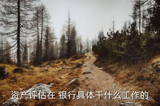 資產(chǎn)評(píng)估在 銀行具體干什么工作的