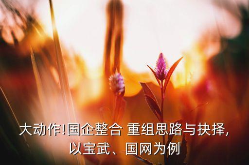 大動作!國企整合 重組思路與抉擇,以寶武、國網(wǎng)為例