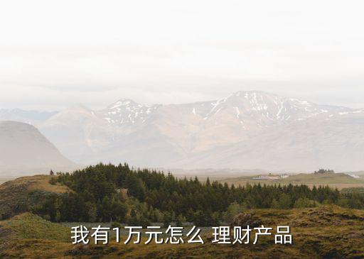 我有1萬元怎么 理財產(chǎn)品