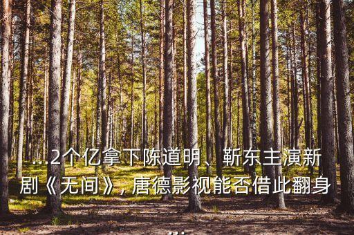 ...2個億拿下陳道明、靳東主演新劇《無間》, 唐德影視能否借此翻身...