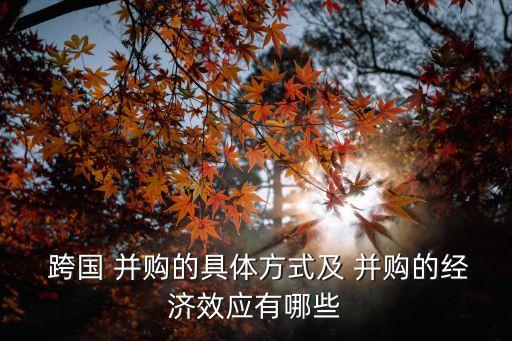  跨國 并購的具體方式及 并購的經濟效應有哪些