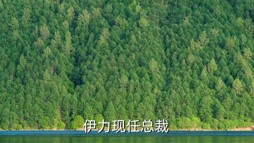 伊力現任總裁