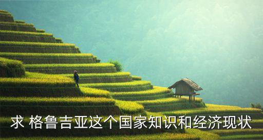 求 格魯吉亞這個國家知識和經(jīng)濟現(xiàn)狀