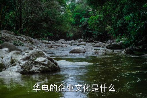 華電集團李慶奎頂風(fēng)