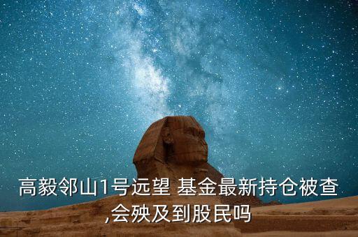 高毅鄰山1號遠望 基金最新持倉被查,會殃及到股民嗎