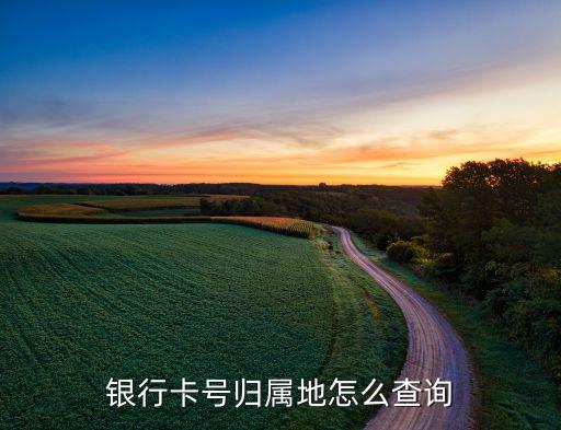 銀行卡號歸屬地怎么查詢