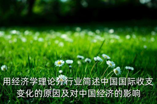 用經(jīng)濟學理論分行業(yè)簡述中國國際收支變化的原因及對中國經(jīng)濟的影響