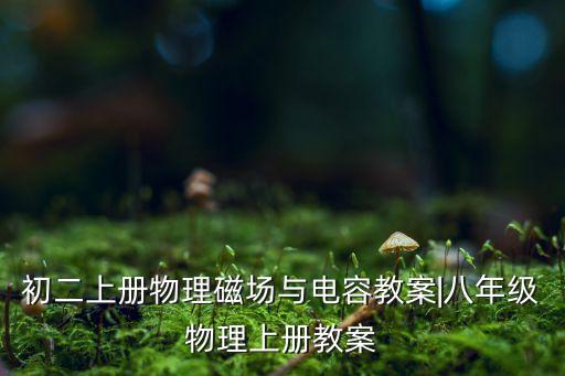 初二上冊(cè)物理磁場(chǎng)與電容教案|八年級(jí)物理上冊(cè)教案