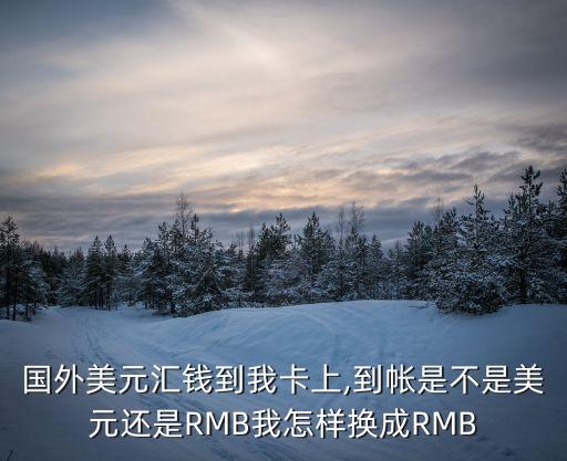 工商銀行外幣兌換預(yù)約電話,上海工商銀行外幣兌換網(wǎng)點