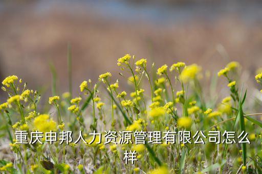 重慶圣華勞務公司法人,重慶川贏勞務公司法人肖付全