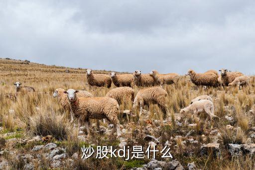 KDJ第一紫股票,白云機(jī)場(chǎng)股票KDJ