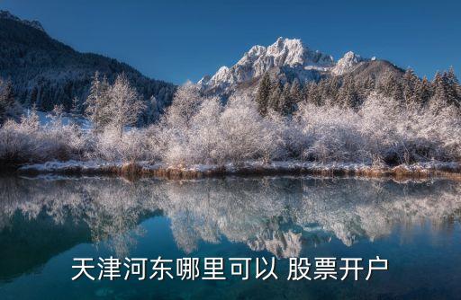 天津河?xùn)|哪里可以 股票開(kāi)戶(hù)