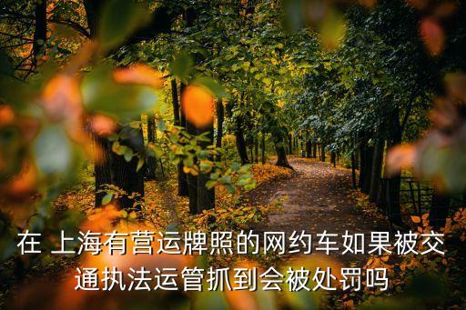 在 上海有營運(yùn)牌照的網(wǎng)約車如果被交通執(zhí)法運(yùn)管抓到會(huì)被處罰嗎