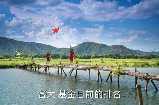 寶盈泛銀?；?天天基金寶盈泛沿海