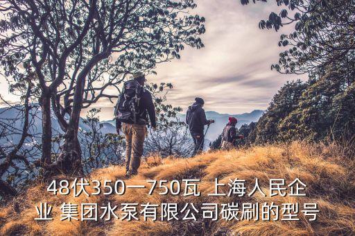 48伏350一750瓦 上海人民企業(yè) 集團(tuán)水泵有限公司碳刷的型號(hào)