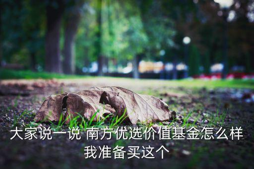 大家說一說 南方優(yōu)選價(jià)值基金怎么樣我準(zhǔn)備買這個