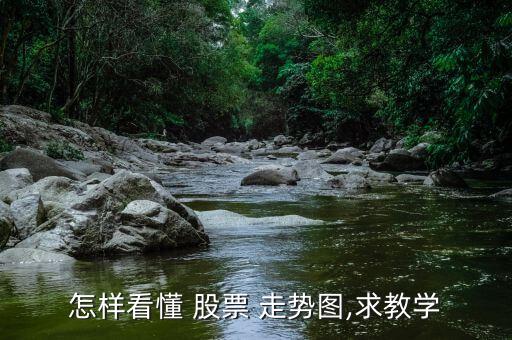 怎樣看懂 股票 走勢(shì)圖,求教學(xué)